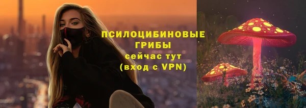 бошки Абаза