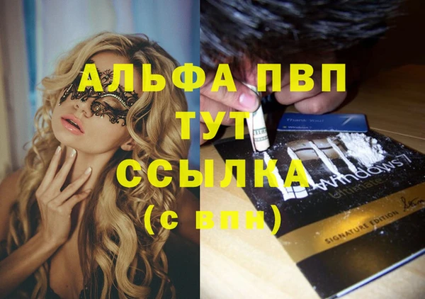 СК Абинск