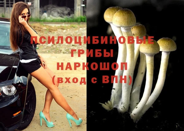 СК Абинск