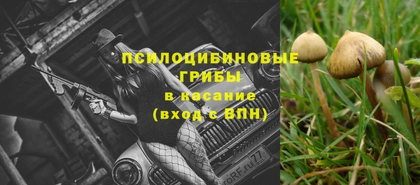 спиды Абдулино