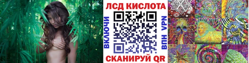 Наркотические марки 1,5мг  Камызяк 