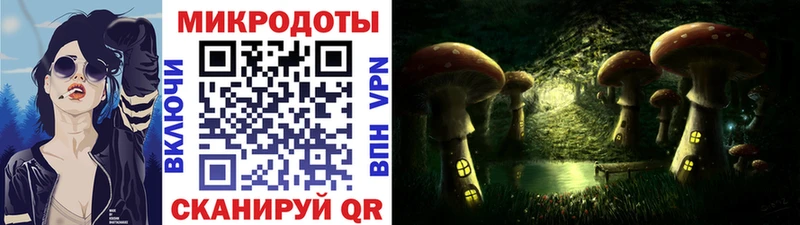 Галлюциногенные грибы Psilocybine cubensis  Камызяк 